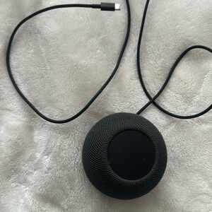 Apple Dark Gray Smart Speaker
